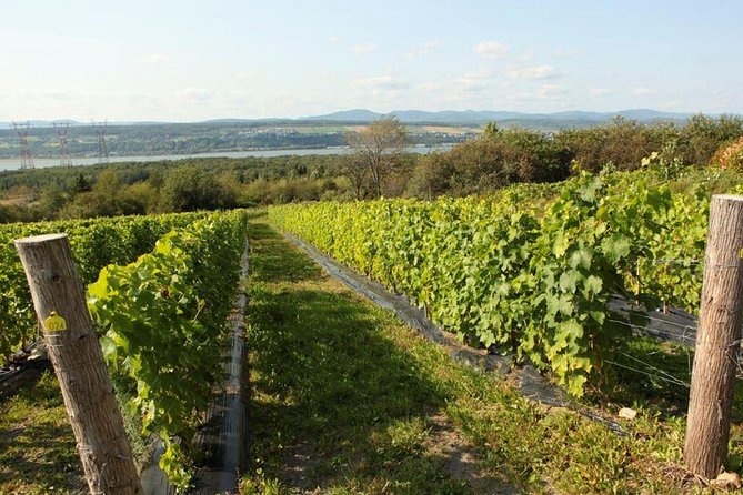 Quebec City - Tandem Bike Rental on Ile d'Orléans - Wineries, Chocolaterie, and café stops