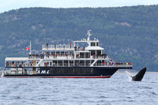 Québec City: Whale Watching Tour with Bus Transportation - Choosing between the AML Grand Fleuve and a Zodiac