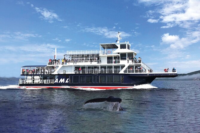 Québec City: Whale Watching Tour with Bus Transportation - Is $191.39 a fair price?
