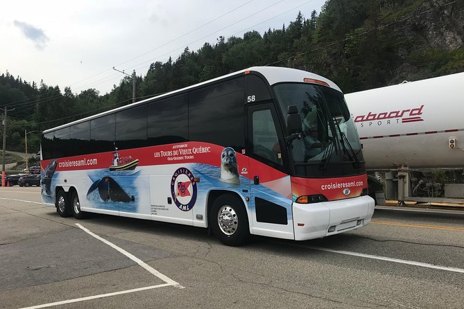 Québec City: Whale Watching Tour with Bus Transportation - The practical verdict
