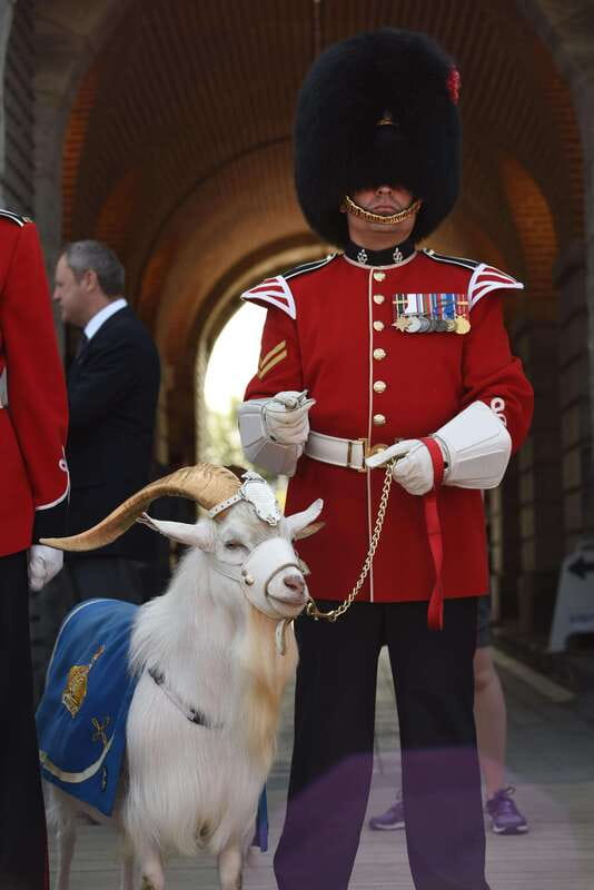 Quebec: La Citadelle de Québec Ticket and Guided Tour - Key points to know before you go