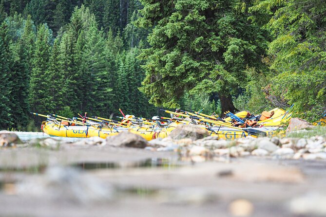 Rafting Adventure on the Kicking Horse River - Who should book this rafting trip?