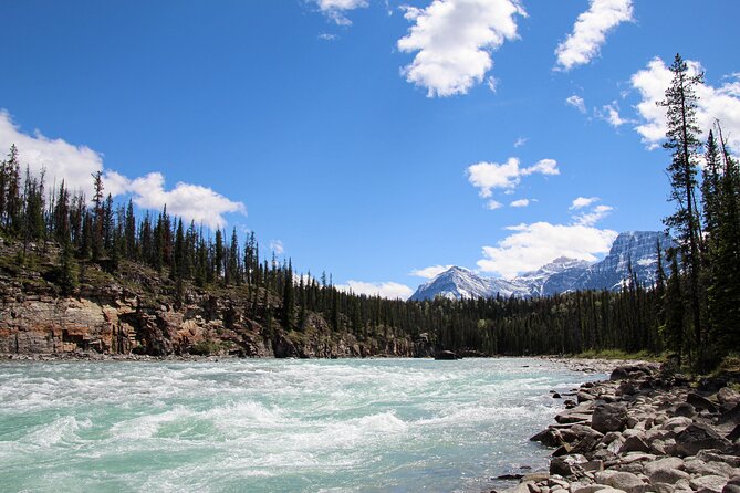 Rafting Athabasca Falls Run in Jasper - Stop 2: The Athabasca River Canyon
