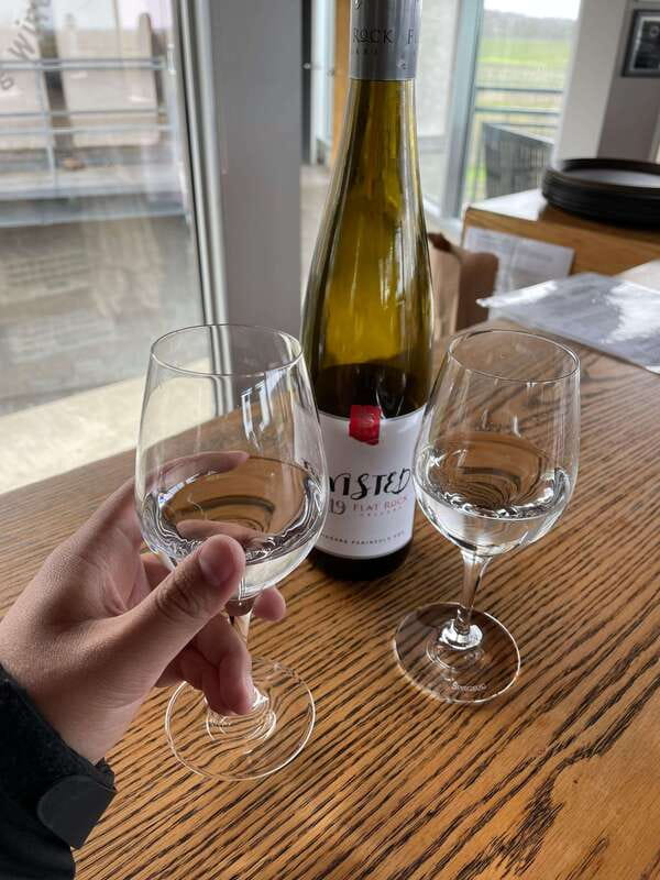 Relaxing Lunch & Wine Tour through Niagara's Wine Country - Key points at a glance