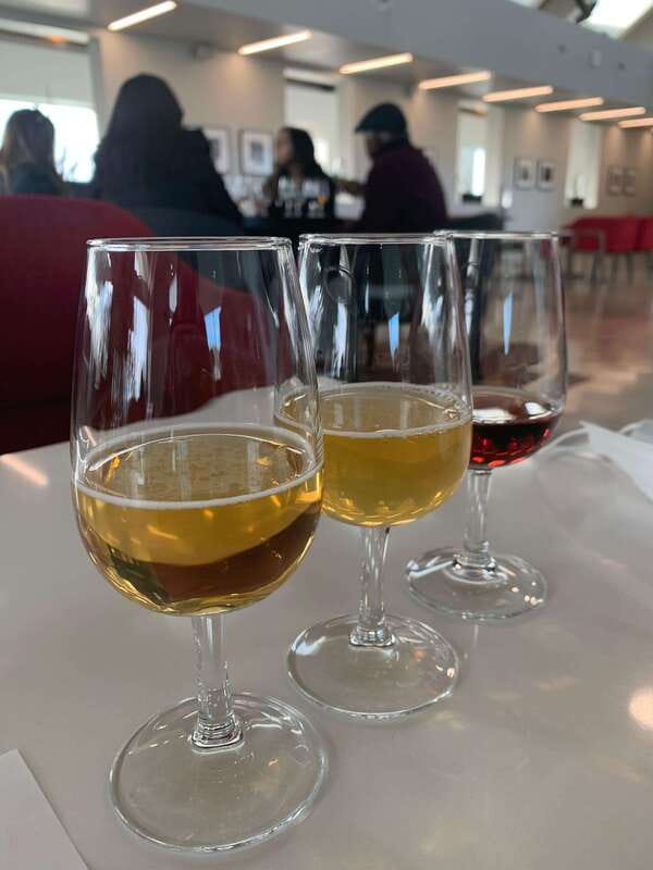 Relaxing Lunch & Wine Tour through Niagara's Wine Country - Pickup from Niagara Falls or Niagara-on-the-Lake