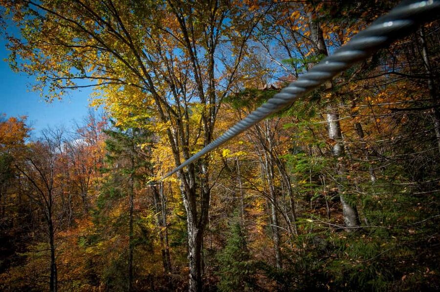 River Ziplines - Nature Tours - Who will enjoy this course most