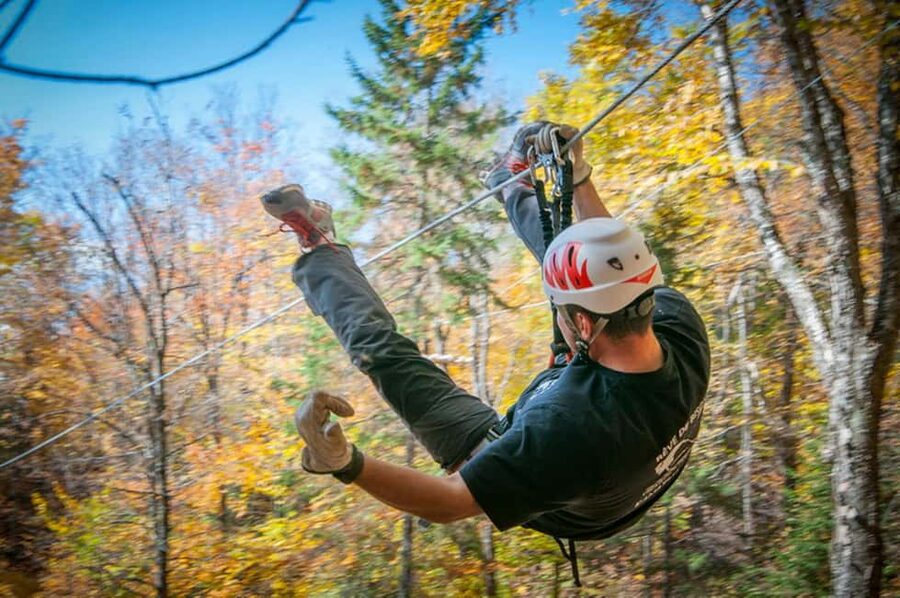 River Ziplines - Nature Tours - What the two-hour outing feels like