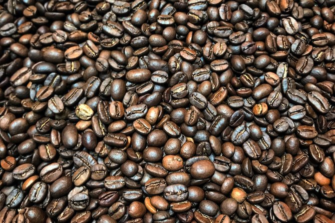 Roasting Experience at 14th Coffee Co - Why the six-person limit matters
