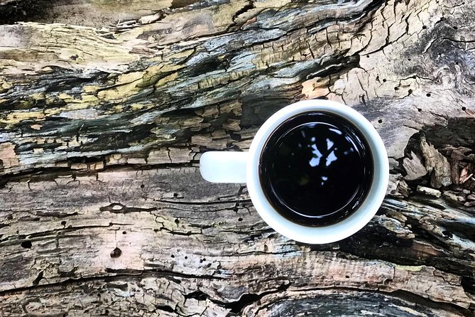 Roasting Experience at 14th Coffee Co - Who will enjoy this coffee outing most