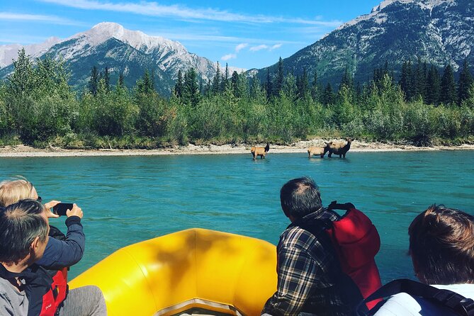 Rocky mountain - VIP Experience - Private Boat - Getting Ready With the Right Gear