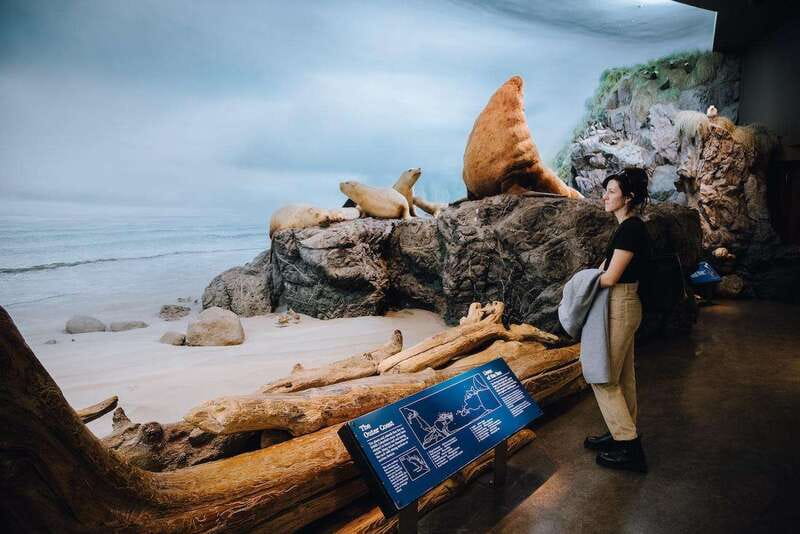 Royal B.C. Museum in Victoria: Full-Day Admission Ticket - Key points to know before you go