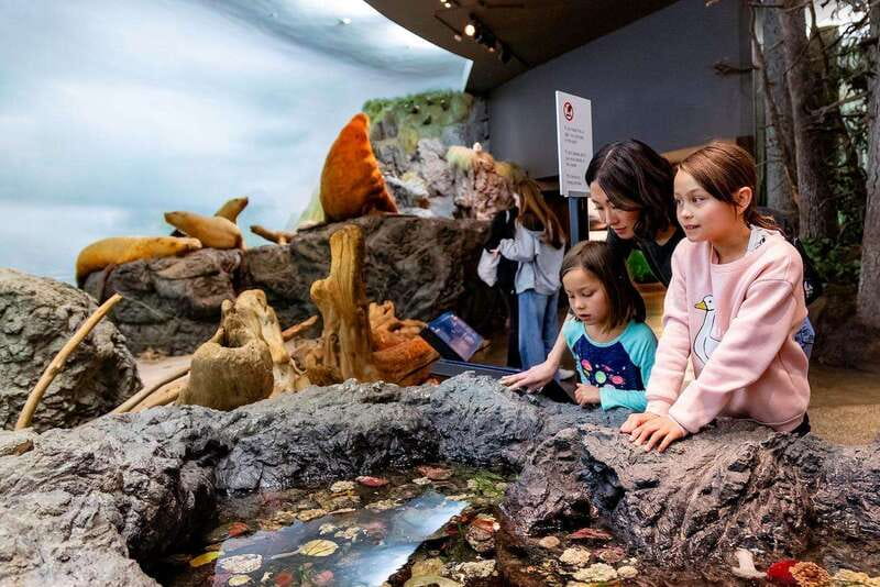 Royal B.C. Museum in Victoria: Full-Day Admission Ticket - Why the museum works best as a full-day Victoria stop