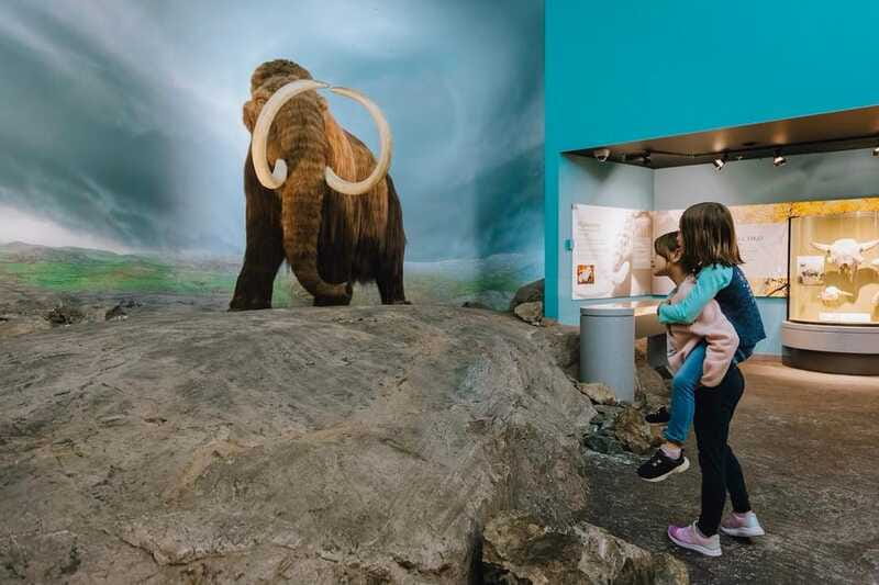 Royal B.C. Museum in Victoria: Full-Day Admission Ticket - Jonathan Hunt House and Kwakwaka’wakw culture