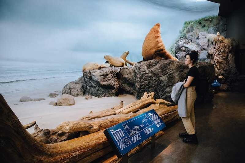 Royal B.C. Museum in Victoria: Full-Day Admission Ticket - Food, shopping, and the optional IMAX finish