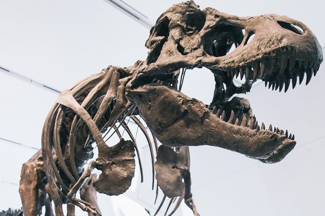 Royal Ontario Museum Admission - Arriving With a Mobile Ticket
