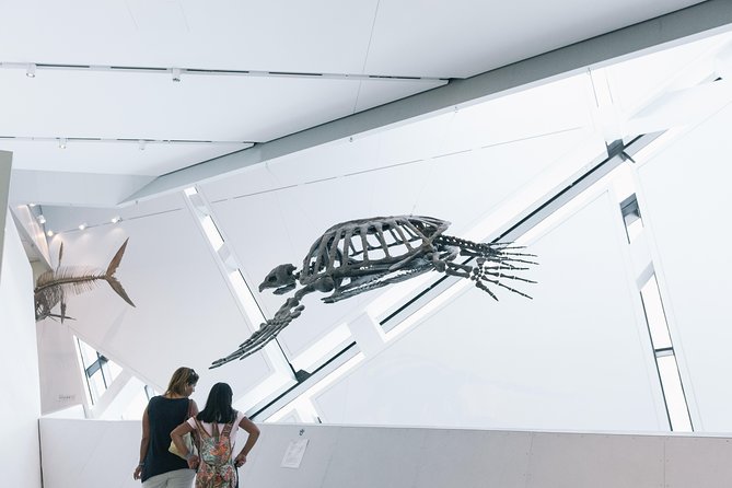 Royal Ontario Museum Admission - Ancient Egypt, Rome, and Objects From Long Ago