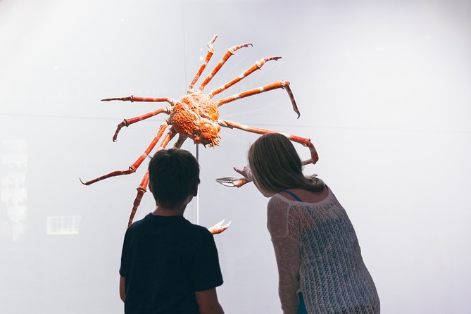 Royal Ontario Museum Admission - Indigenous Art and Asian Collections