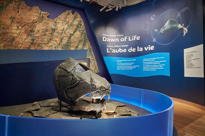 Royal Ontario Museum Admission - The First Galleries: Get Your Bearings Before Chasing Dinosaurs