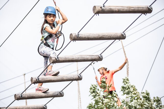 Sailing Aerial Adventure - The climbing wall, collision course, and inflatable games