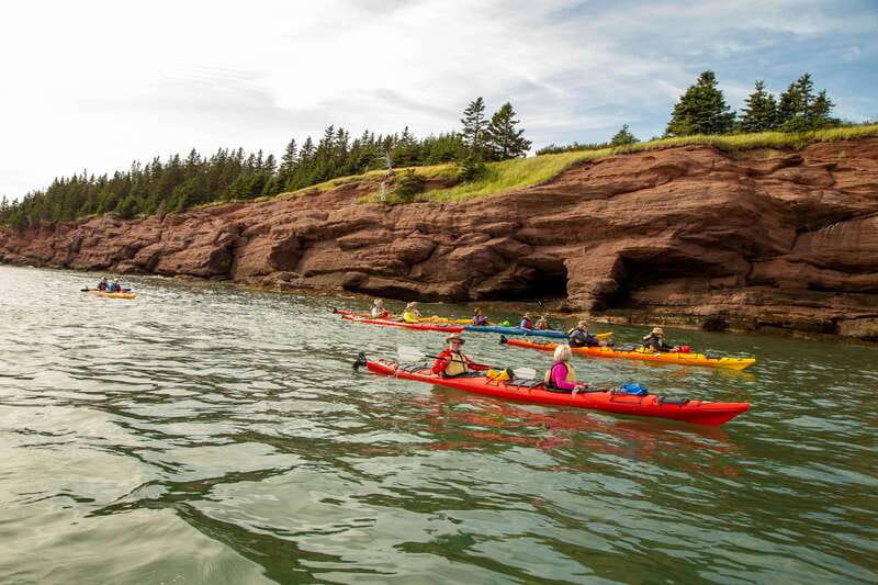 Saint John: Guided Kayaking Tour of St. Martins Sea Caves - The value of $74 per person