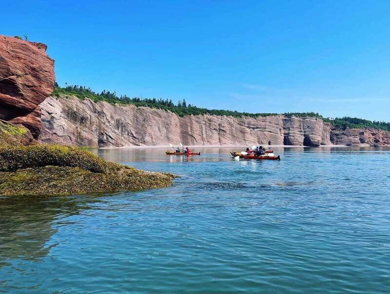 Saint John: Guided Kayaking Tour of St. Martins Sea Caves - Who will enjoy this kayak tour most
