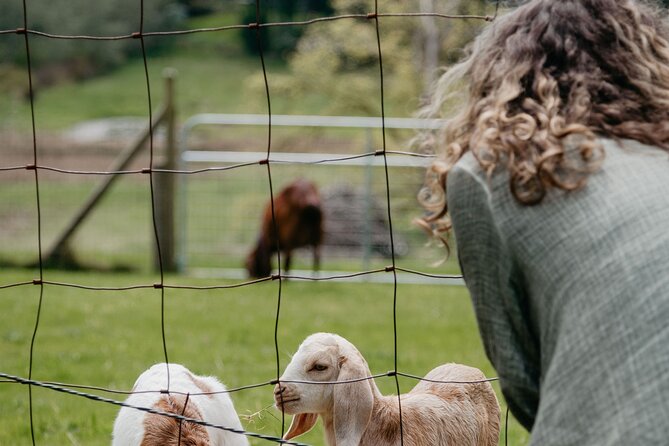 Salt Spring Island "Artisan Trail" Hop On Hop Off Tour! - Garry Oaks Estate Winery in Burgoyne Valley