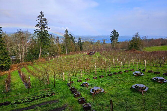 Salt Spring Island "Artisan Trail" Hop On Hop Off Tour! - Ciderworks and 425 apple varieties