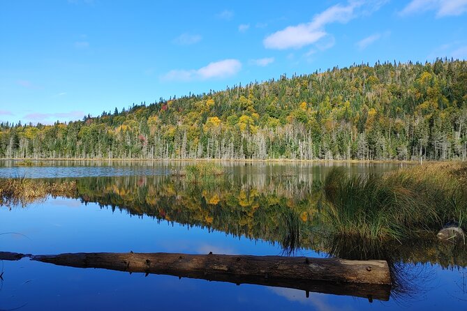 Scenic Hiking Adventure at Mont-Orford National Park - Mont-Chauve’s 310-metre climb and four lookouts
