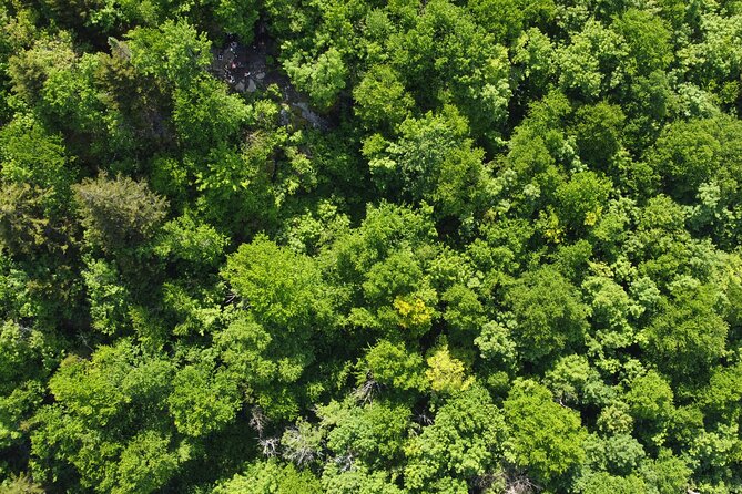 Scenic Hiking Adventure at Mont-Orford National Park - Weather, cancellation, and booking timing