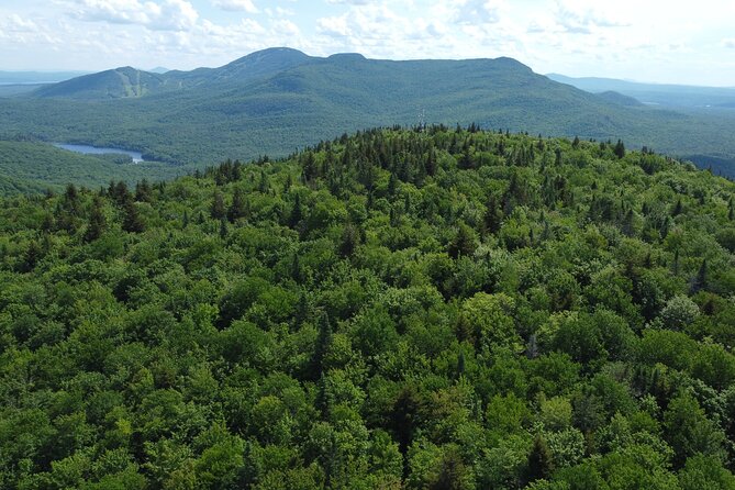 Scenic Hiking Adventure at Mont-Orford National Park - A guide who keeps the day personal