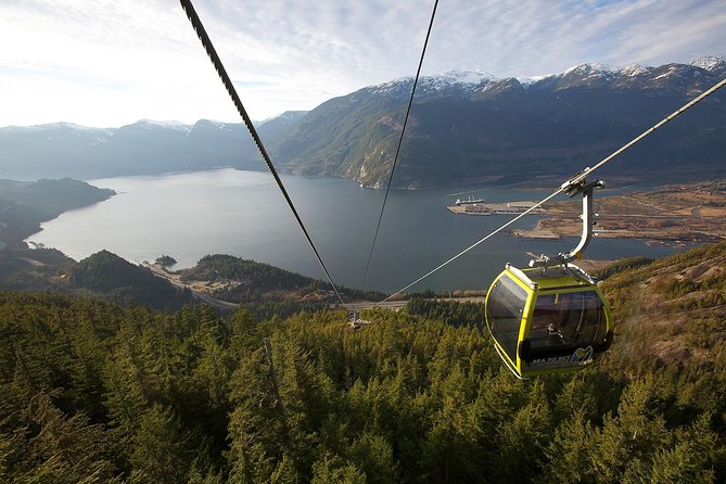 Sea to Sky Gondola Ticket - The ride from Squamish to the mountain summit