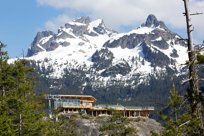 Sea to Sky Gondola Ticket - Trails for a short walk or a longer summit visit