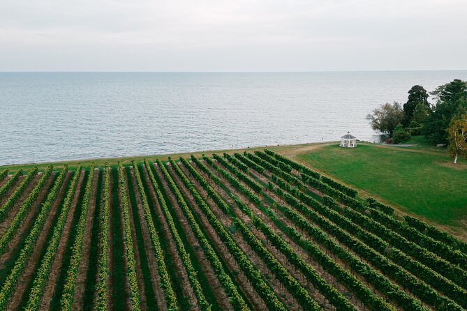 Seated Tasting Experience at Konzelmann Winery - Choosing between Niagara classics and peach wine