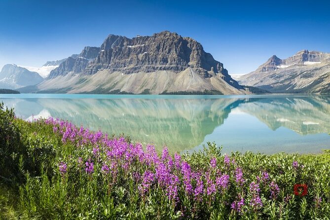 Self-Guided Audio Driving Tour in Icefields Parkway - Parker Ridge, the best test of your energy