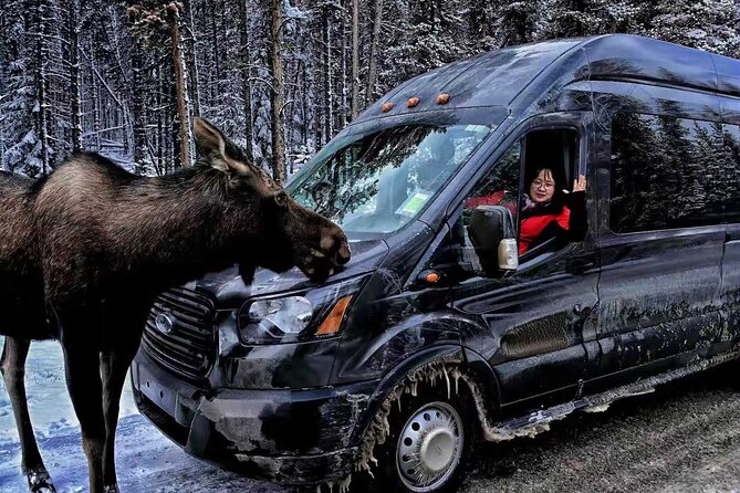 Shuttle from Banff or Canmore to Moraine Lake and Lake Louise - Key points to know before booking