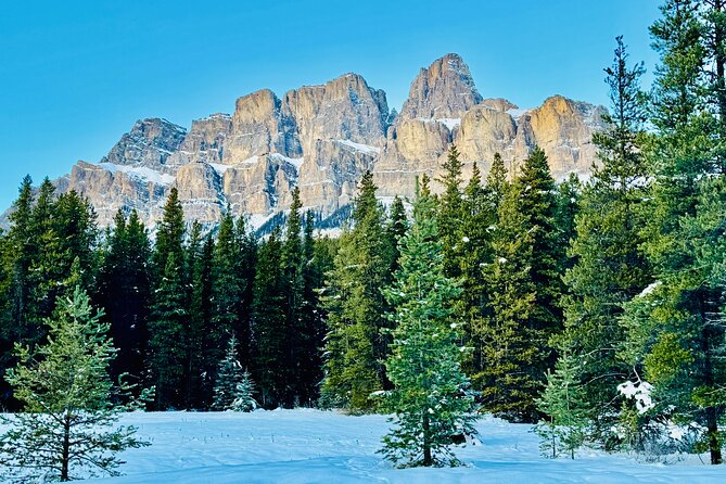 ShuttleBus 2way Banff to Lake Louise (1Hr) and Moraine Lake (1Hr) - Wildlife and the value of a careful driver