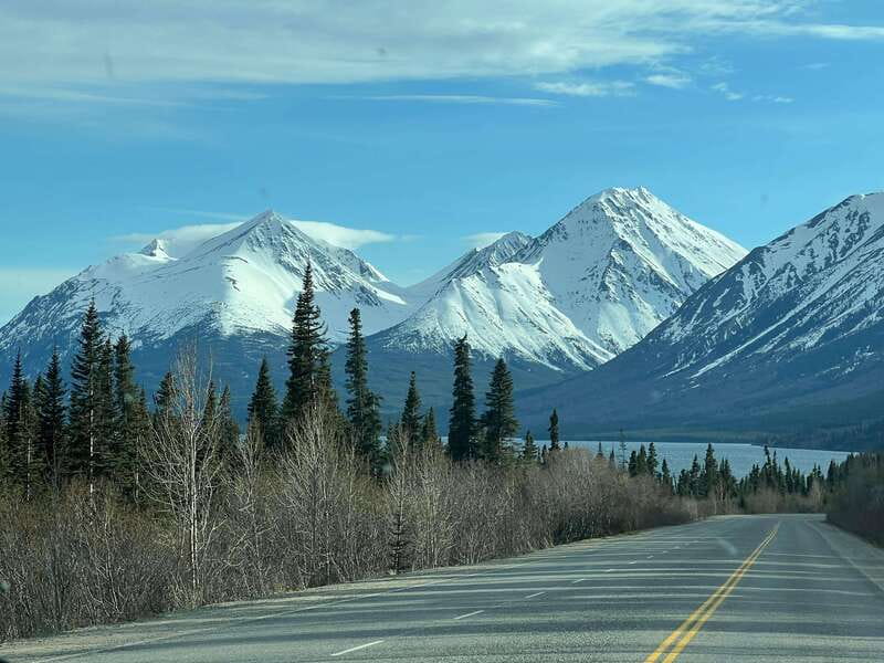 Skagway: Yukon Dog Mushing & Sightseeing Tour - Key points to know before booking