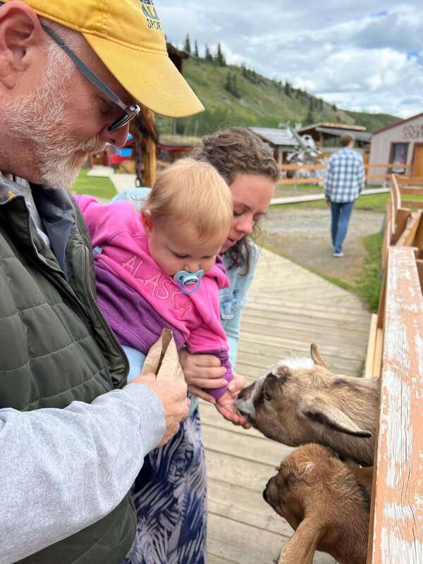 Skagway: Yukon Dog Mushing & Sightseeing Tour - From Skagway into the Yukon