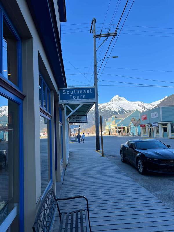 Skagway: Yukon Dog Mushing & Sightseeing Tour - Who will enjoy this six-hour outing?