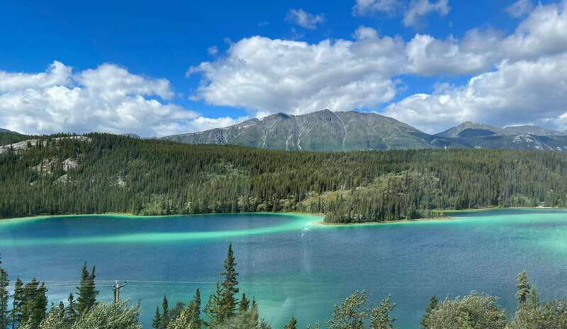 Skagway: Yukon Dog Mushing & Sightseeing Tour - Bridal Veil Falls and roadside photo stops