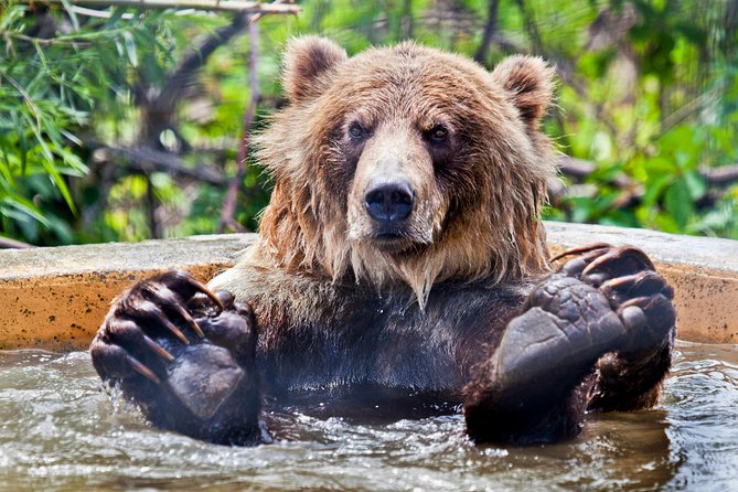 Skip the Line: Kamloops BC Wildlife Park Admission Ticket - Why the rescued animals matter at BC Wildlife Park