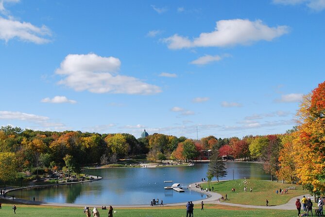 Small-Group Sightseeing Tour of Montreal - Montreal in three hours: what this tour really delivers