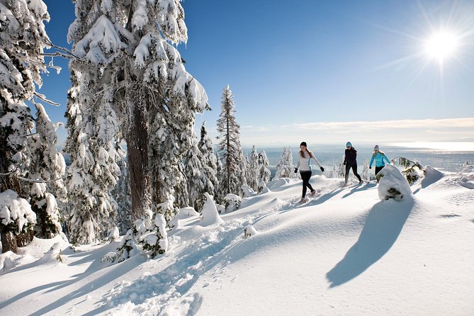 Small Group Tour: Capilano Suspension Bridge and Grouse Mountain from Vancouver - Why this tour works for a first Vancouver visit
