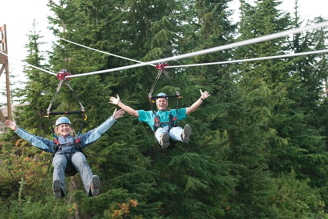 Small Group Tour: Capilano Suspension Bridge and Grouse Mountain from Vancouver - Should you book it?