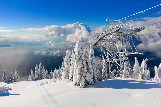 Small Group Tour: Capilano Suspension Bridge and Grouse Mountain from Vancouver - Grouse Mountain and the eight-minute Skyride