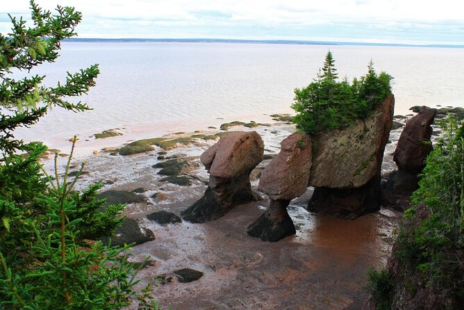 Small Group Tour - Peggy's Cove, Lunenburg, the Annapolis Valley - A long Nova Scotia day with plenty of variety