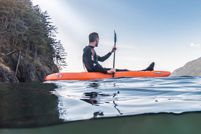 Snorkel, Kayak, and Seal Adventure: Vancouver Boat Tour - What the $105.10 price includes