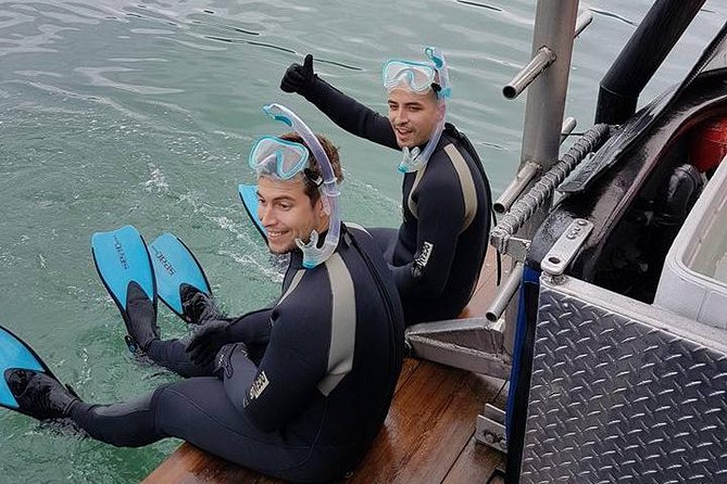 Snorkel, Kayak, and Seal Adventure: Vancouver Boat Tour - Preparing for a cold-water afternoon