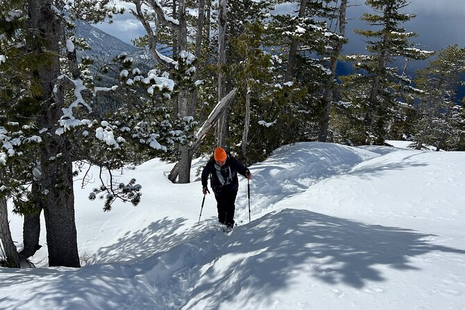 Snowshoeing At The Top Of The Sea To Sky Gondola - Crossing Sky Pilot Suspension Bridge