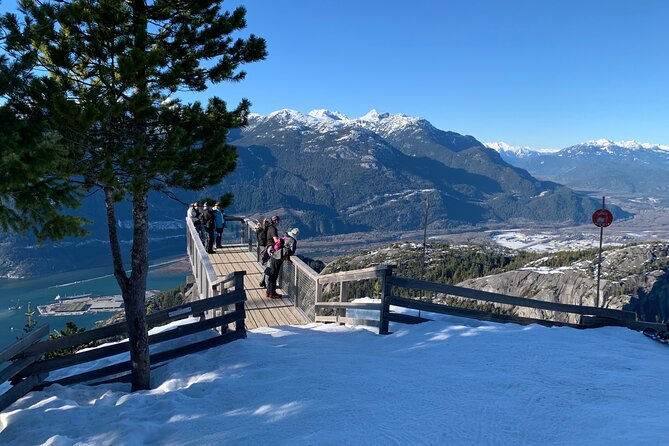 Snowshoeing At The Top Of The Sea To Sky Gondola - Snowshoe trails through a winter forest